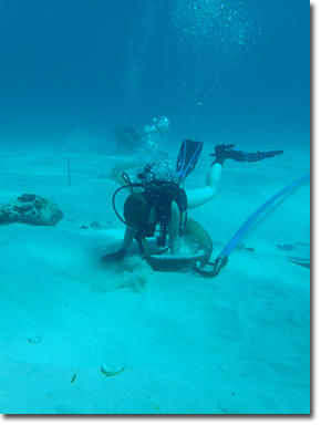 Kristina Fricker excavating Unit 5, Pillar Dollar Wreck.