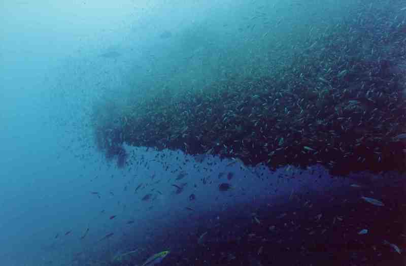Yongalabow2.jpg