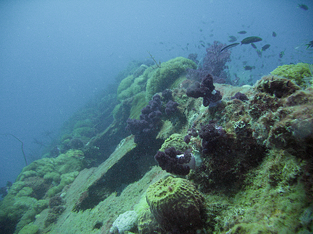 Oct_2009YD_hull_R.jpg