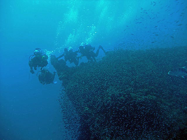 august32_2009YD_bowR.jpg