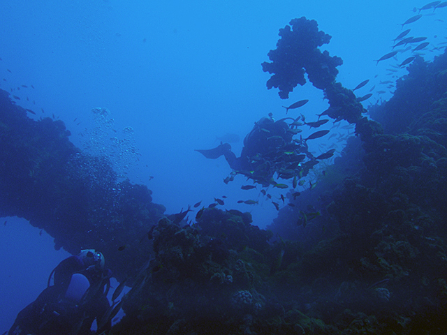 Oct_pa101421_2009YDR.jpg