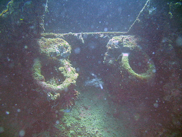 Oct_2009YD_toiletsR.jpg