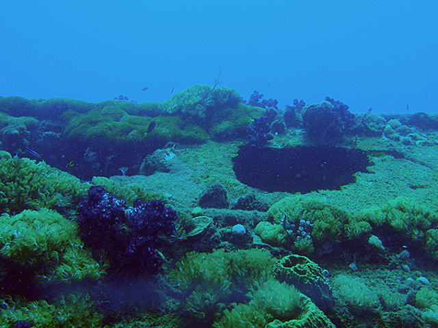 Oct_pa111465-2009YD_hull_R.jpg
