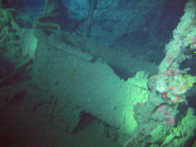 Oct_2009YD_tub_R.jpg