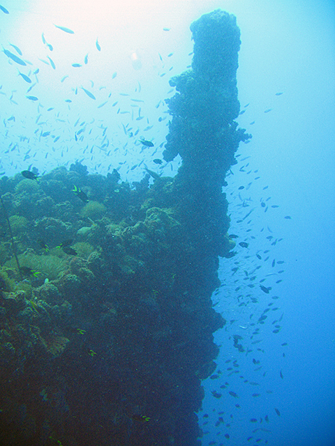 Oct_2009YD_R.jpg