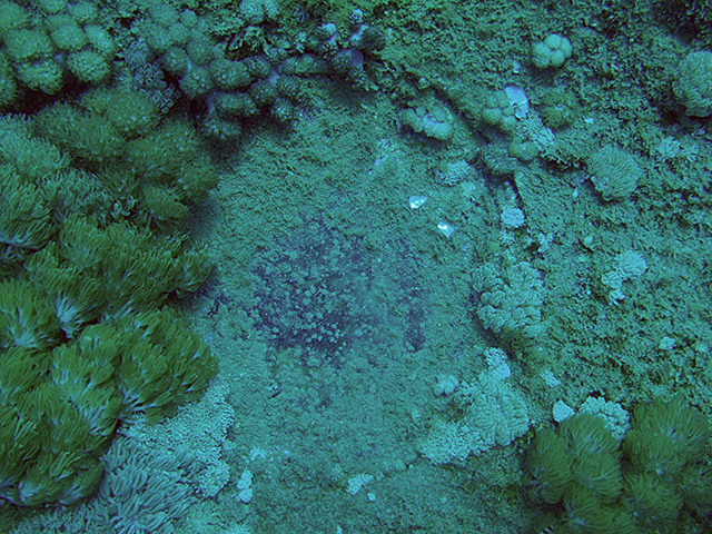 Oct_pa111479_2009YD_porthole_R.jpg