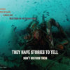 They Have Stories to Tell - Poster