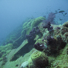 SS Yongala Photos October 2009