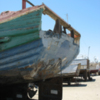 sf09 094.jpg