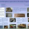 Interdisciplinary approaches to the study of Angkorian ships